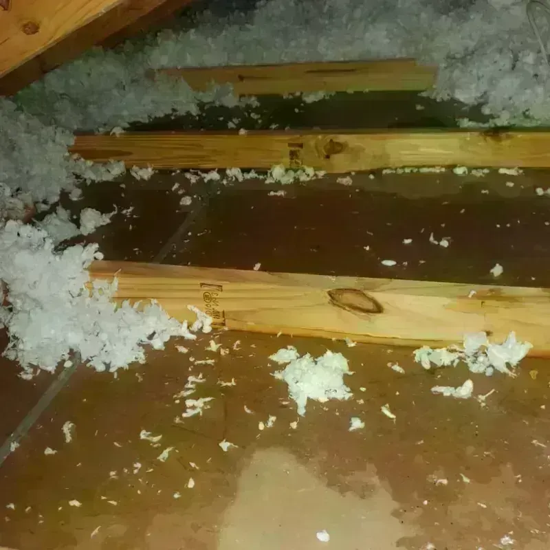 Attic Water Damage in Gambier, OH